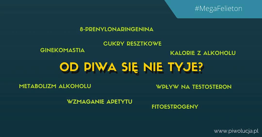 Czy od piwa się tyje? Odkryj prawdę o kaloriach i wadze Czy od piwa się tyje? Odkryj prawdę o kaloriach i wadze