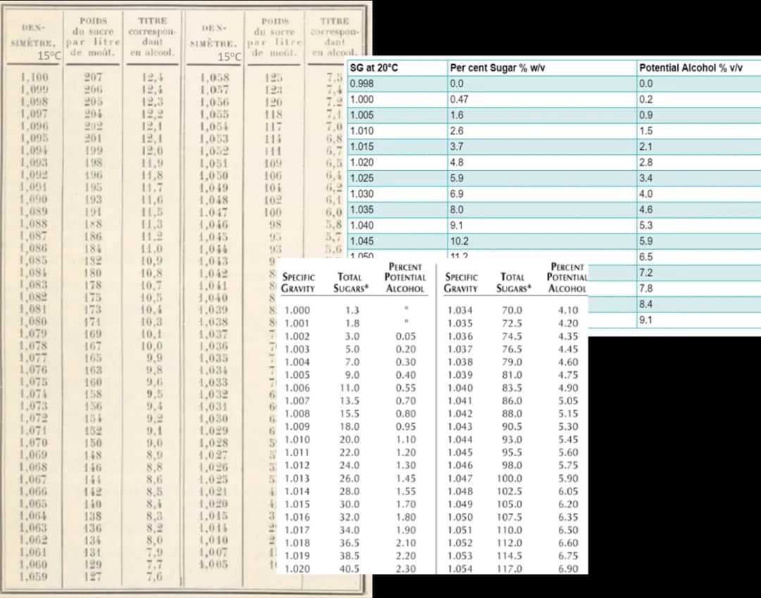 Ile grzaniec ma procent? Zaskakujące różnice w zawartości alkoholu